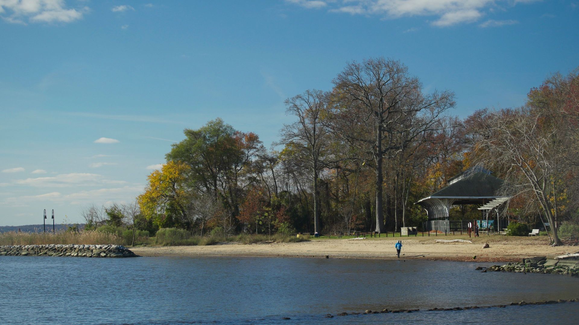 Beautiful beach scene with autumn trees and a pavilion under a clear blue sky.